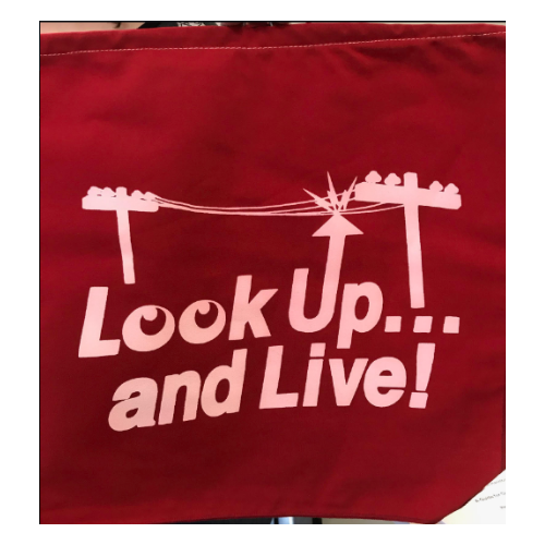 Safety Flag 